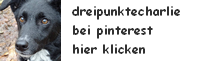 Link zu unserem Pinterest-Profil